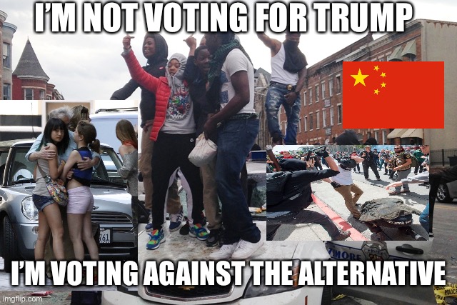 The left went too far left for America | I’M NOT VOTING FOR TRUMP; I’M VOTING AGAINST THE ALTERNATIVE | image tagged in riot,blm,antifa,pedophiles,criminals,america | made w/ Imgflip meme maker
