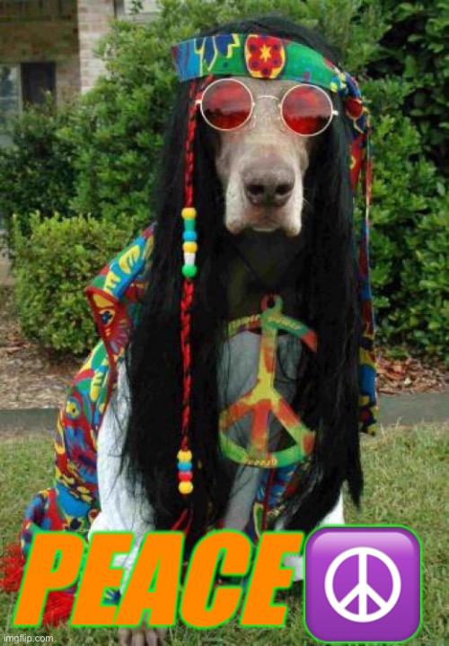 Hippie dog  | PEACE ☮️ | image tagged in hippie dog | made w/ Imgflip meme maker