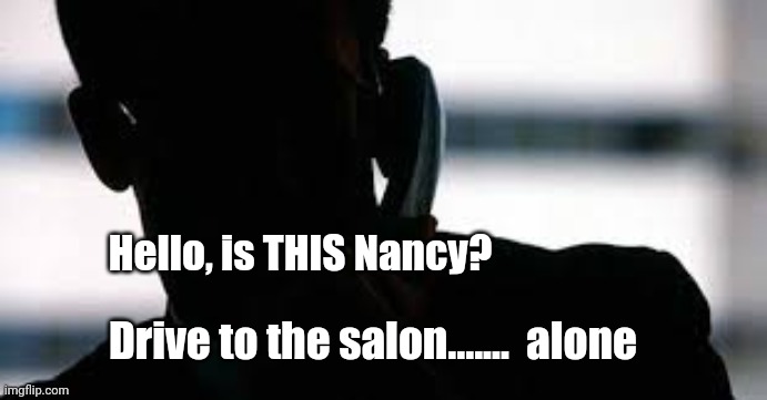 The FBI is now involved | Hello, is THIS Nancy? Drive to the salon.......  alone | image tagged in nancy pelosi,funny,memes,covid-19,donald trump | made w/ Imgflip meme maker