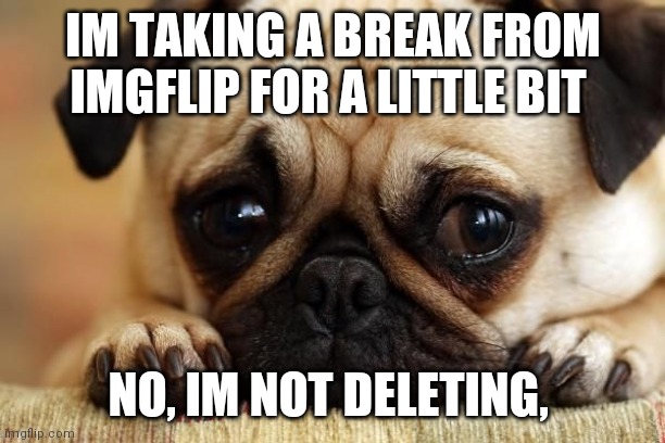 I hope i dont make you upset | IM TAKING A BREAK FROM IMGFLIP FOR A LITTLE BIT; NO, IM NOT DELETING, | image tagged in sad puppy | made w/ Imgflip meme maker