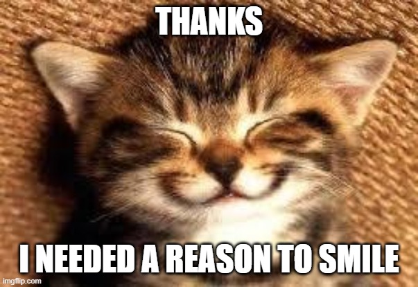 Smiley Cat | THANKS I NEEDED A REASON TO SMILE | image tagged in smiley cat | made w/ Imgflip meme maker