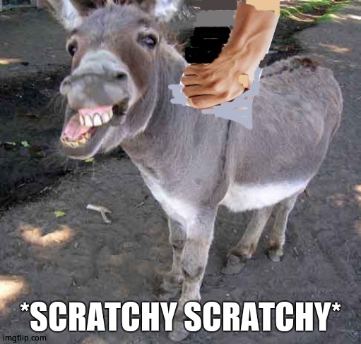 *SCRATCHY SCRATCHY* | made w/ Imgflip meme maker