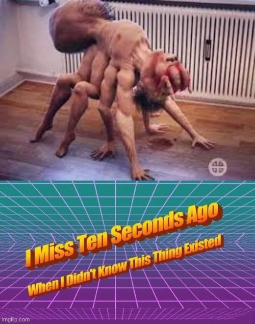 cursed human spider | image tagged in i miss ten seconds ago,memes | made w/ Imgflip meme maker