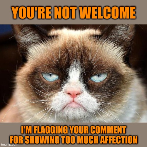 Grumpy Cat Not Amused Meme | YOU'RE NOT WELCOME I'M FLAGGING YOUR COMMENT FOR SHOWING TOO MUCH AFFECTION | image tagged in memes,grumpy cat not amused,grumpy cat | made w/ Imgflip meme maker