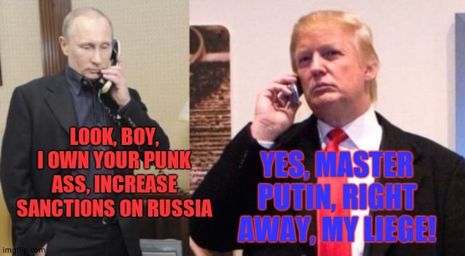 Trump Putin phone call |  YES, MASTER PUTIN, RIGHT AWAY, MY LIEGE! LOOK, BOY, I OWN YOUR PUNK ASS, INCREASE SANCTIONS ON RUSSIA | image tagged in trump putin phone call,donaldtrumpsucks,putin owns trump | made w/ Imgflip meme maker