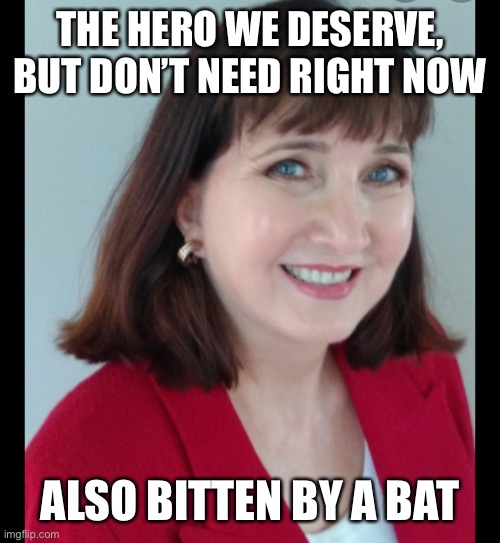 THE HERO WE DESERVE, BUT DON’T NEED RIGHT NOW ALSO BITTEN BY A BAT | made w/ Imgflip meme maker