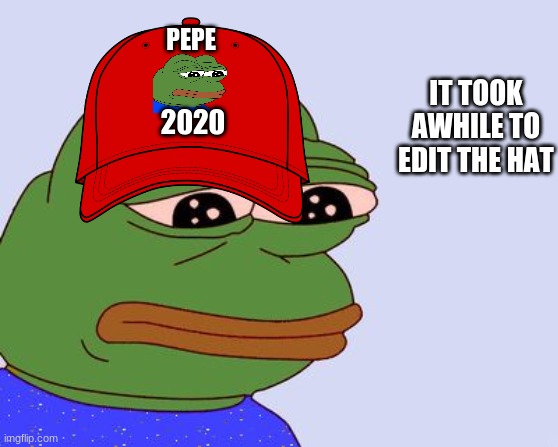 Pepe the Frog | PEPE; IT TOOK AWHILE TO EDIT THE HAT; 2020 | image tagged in pepe the frog | made w/ Imgflip meme maker