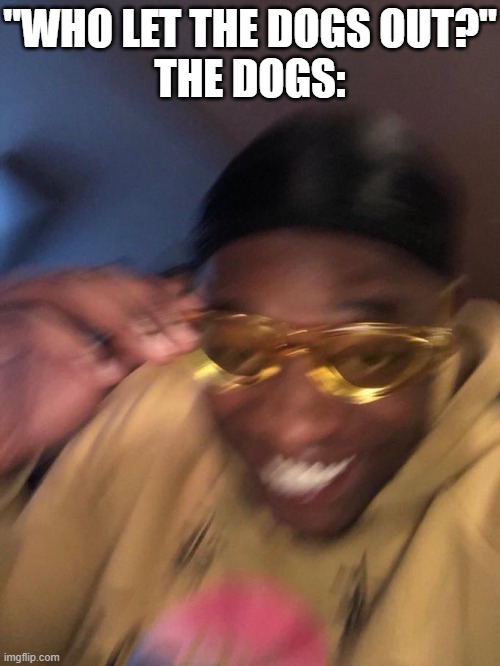 black guy yellow glasses | "WHO LET THE DOGS OUT?"
THE DOGS: | image tagged in black guy yellow glasses | made w/ Imgflip meme maker