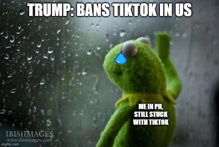 pls. help | TRUMP: BANS TIKTOK IN US; ME IN PH, STILL STUCK WITH TIKTOK | image tagged in kermit window | made w/ Imgflip meme maker