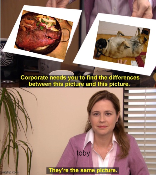 They're The Same Picture Meme | toby | image tagged in memes,they're the same picture | made w/ Imgflip meme maker