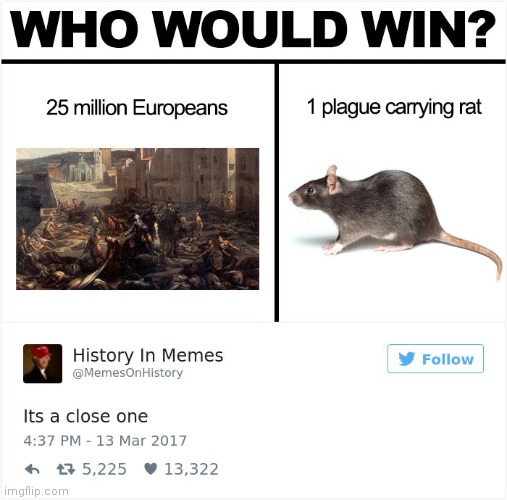 Who would win? | image tagged in who would win,ww2,memes | made w/ Imgflip meme maker
