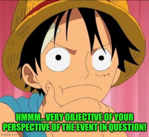 Luffy focused | HMMM...VERY OBJECTIVE OF YOUR PERSPECTIVE OF THE EVENT IN QUESTION! | image tagged in luffy focused | made w/ Imgflip meme maker