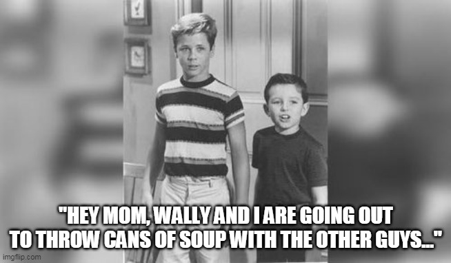Hey Mom | "HEY MOM, WALLY AND I ARE GOING OUT TO THROW CANS OF SOUP WITH THE OTHER GUYS..." | image tagged in donald trump memes | made w/ Imgflip meme maker