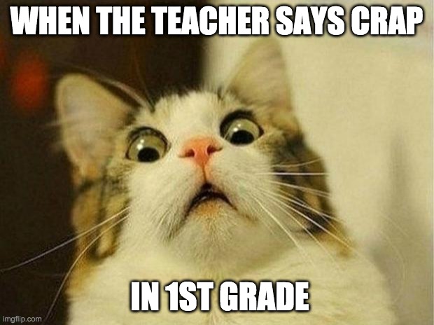 Scared Cat Meme | WHEN THE TEACHER SAYS CRAP; IN 1ST GRADE | image tagged in memes,scared cat | made w/ Imgflip meme maker