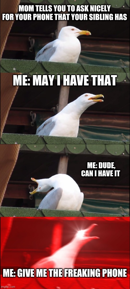 Inhaling Seagull | MOM TELLS YOU TO ASK NICELY FOR YOUR PHONE THAT YOUR SIBLING HAS; ME: MAY I HAVE THAT; ME: DUDE, CAN I HAVE IT; ME: GIVE ME THE FREAKING PHONE | image tagged in memes,inhaling seagull | made w/ Imgflip meme maker
