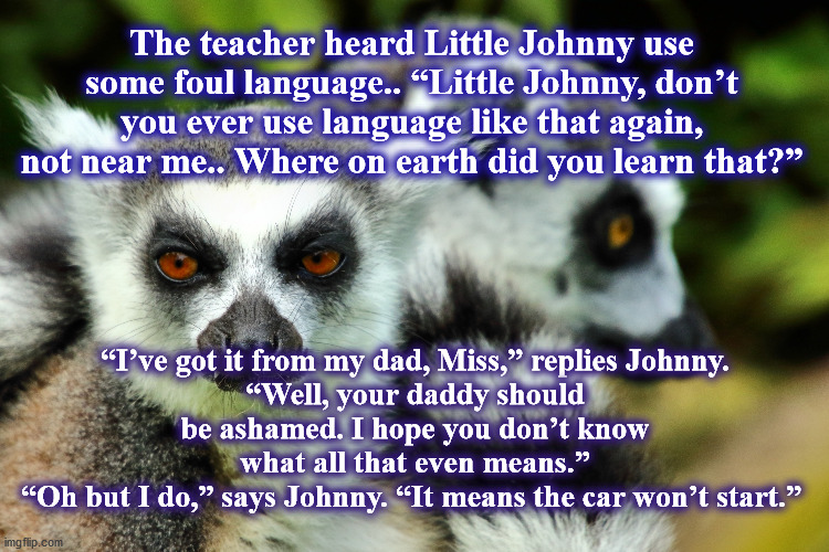 meerrcats | The teacher heard Little Johnny use some foul language.. “Little Johnny, don’t you ever use language like that again, not near me.. Where on earth did you learn that?”; “I’ve got it from my dad, Miss,” replies Johnny.
“Well, your daddy should be ashamed. I hope you don’t know what all that even means.”
“Oh but I do,” says Johnny. “It means the car won’t start.” | image tagged in meerrcats | made w/ Imgflip meme maker