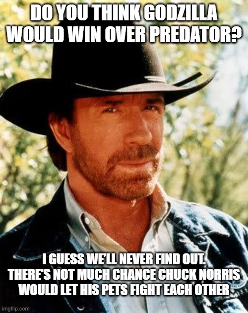 Godzilla v Predator | DO YOU THINK GODZILLA WOULD WIN OVER PREDATOR? I GUESS WE’LL NEVER FIND OUT. THERE’S NOT MUCH CHANCE CHUCK NORRIS WOULD LET HIS PETS FIGHT EACH OTHER | image tagged in memes,chuck norris | made w/ Imgflip meme maker