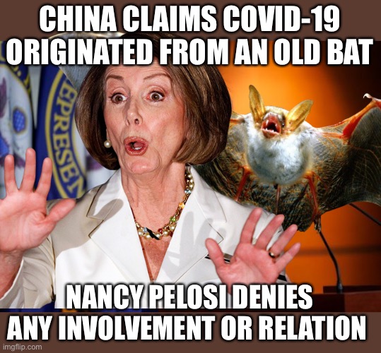 Old Bat | CHINA CLAIMS COVID-19 ORIGINATED FROM AN OLD BAT; NANCY PELOSI DENIES ANY INVOLVEMENT OR RELATION | image tagged in covid-19,nancy pelosi,bats | made w/ Imgflip meme maker