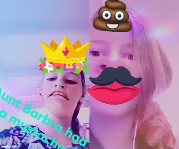image tagged in aunt barbra,mustache,flower crown | made w/ Imgflip meme maker