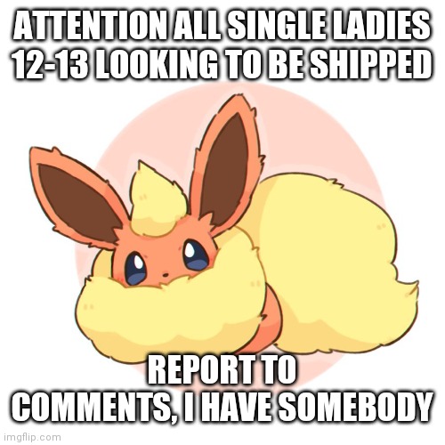 Too much floof | ATTENTION ALL SINGLE LADIES 12-13 LOOKING TO BE SHIPPED; REPORT TO COMMENTS, I HAVE SOMEBODY | image tagged in too much floof | made w/ Imgflip meme maker