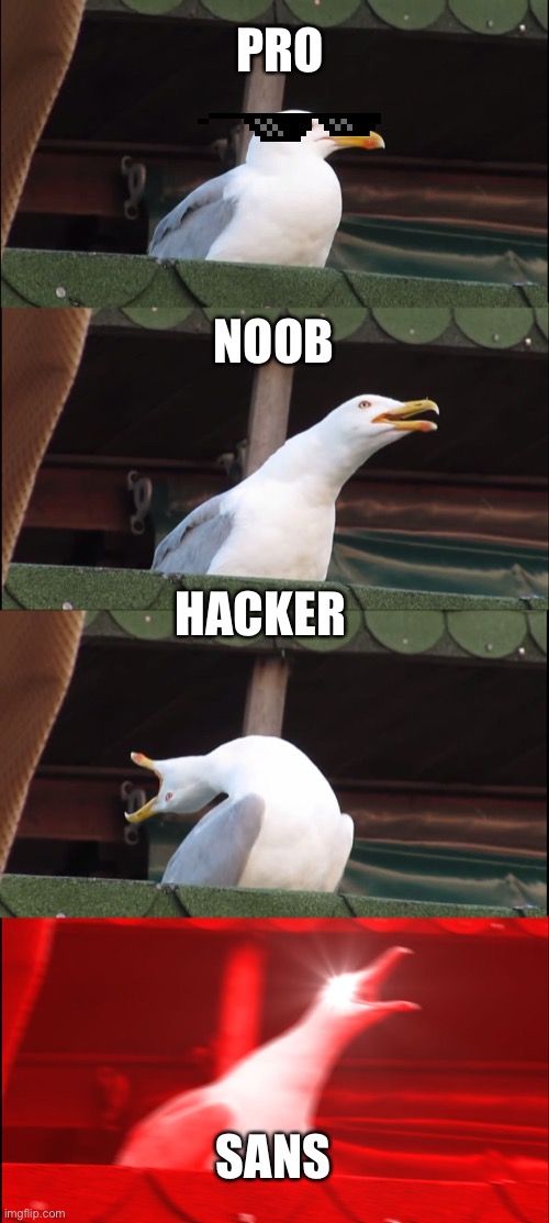 Player in seagull form | PRO; NOOB; HACKER; SANS | image tagged in memes,inhaling seagull | made w/ Imgflip meme maker