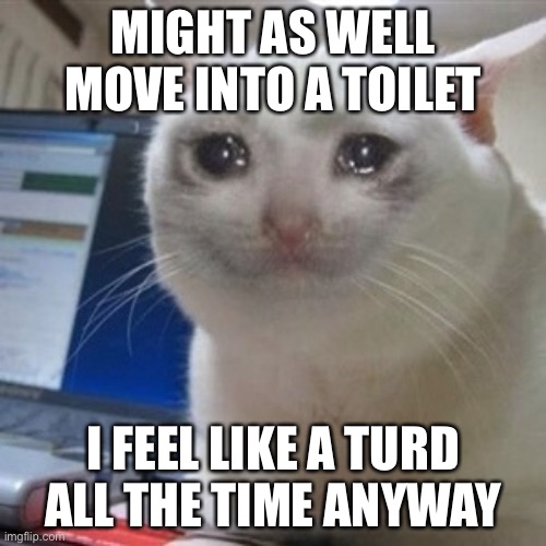 Crying cat | MIGHT AS WELL MOVE INTO A TOILET; I FEEL LIKE A TURD ALL THE TIME ANYWAY | image tagged in crying cat | made w/ Imgflip meme maker