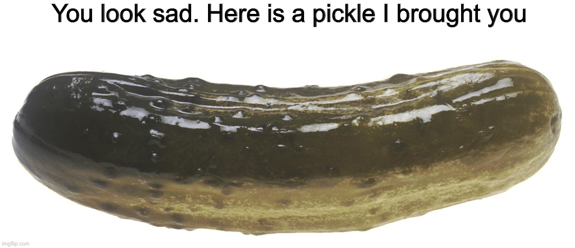 You look sad. Here is a pickle I brought you | image tagged in memes | made w/ Imgflip meme maker