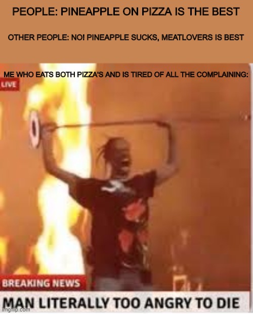 PEOPLE: PINEAPPLE ON PIZZA IS THE BEST; OTHER PEOPLE: NO! PINEAPPLE SUCKS, MEATLOVERS IS BEST; ME WHO EATS BOTH PIZZA'S AND IS TIRED OF ALL THE COMPLAINING: | image tagged in fun | made w/ Imgflip meme maker