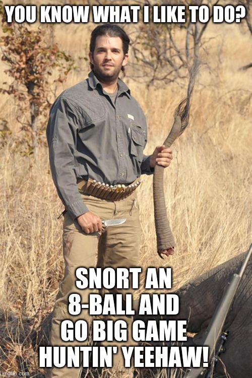donald trump jr | YOU KNOW WHAT I LIKE TO DO? SNORT AN 8-BALL AND GO BIG GAME HUNTIN' YEEHAW! | image tagged in donald trump jr | made w/ Imgflip meme maker