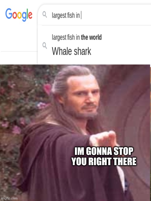 IM GONNA STOP YOU RIGHT THERE | image tagged in im gonna stop you right there | made w/ Imgflip meme maker