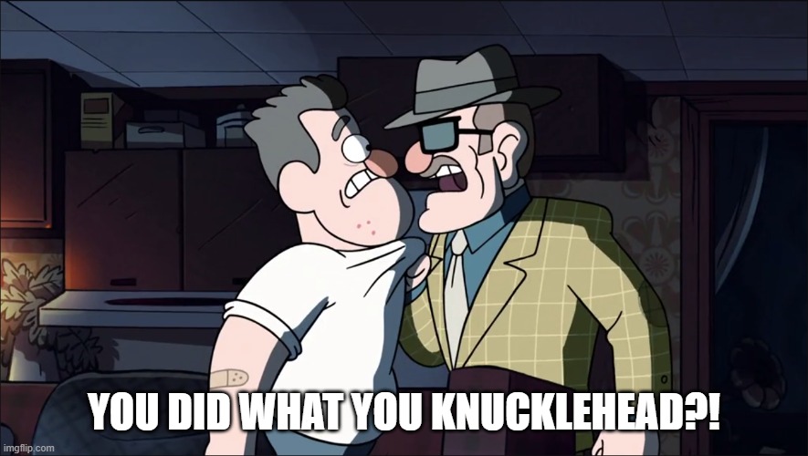 you did WHAT | YOU DID WHAT YOU KNUCKLEHEAD?! | image tagged in knucklehead | made w/ Imgflip meme maker
