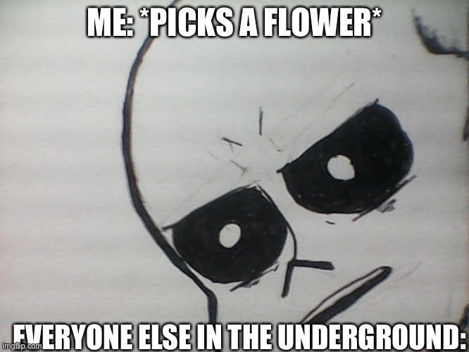 R.i.p Flowey | ME: *PICKS A FLOWER*; EVERYONE ELSE IN THE UNDERGROUND: | image tagged in unsettled sans | made w/ Imgflip meme maker