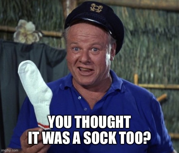 Skipper sock | YOU THOUGHT IT WAS A SOCK TOO? | image tagged in skipper sock | made w/ Imgflip meme maker