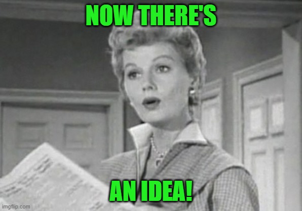 June Cleaver | NOW THERE'S AN IDEA! | image tagged in june cleaver | made w/ Imgflip meme maker