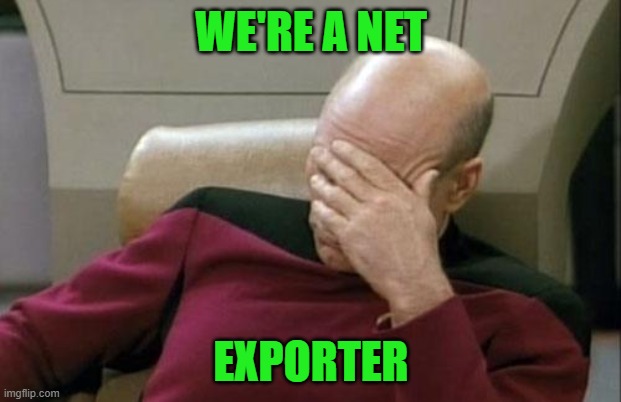 Captain Picard Facepalm Meme | WE'RE A NET EXPORTER | image tagged in memes,captain picard facepalm | made w/ Imgflip meme maker