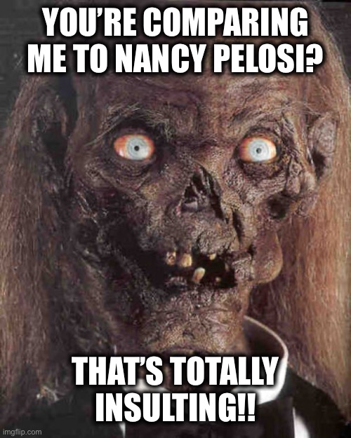 YOU’RE COMPARING ME TO NANCY PELOSI? THAT’S TOTALLY INSULTING!! | made w/ Imgflip meme maker
