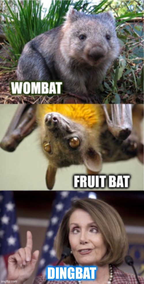 The Left are way out in left field! | DINGBAT | image tagged in nancy pelosi,funny memes | made w/ Imgflip meme maker