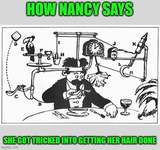 Rube Goldberg | HOW NANCY SAYS; SHE GOT TRICKED INTO GETTING HER HAIR DONE | image tagged in rube goldberg,nancy pelosi | made w/ Imgflip meme maker
