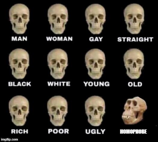 idiot skull |  HOMOPHOBE | image tagged in idiot skull | made w/ Imgflip meme maker