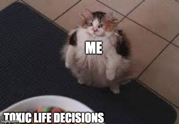 NKRKJFGIJ | ME; TOXIC LIFE DECISIONS | image tagged in mgbkjhtrjktretreij | made w/ Imgflip meme maker