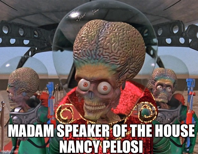 Nancy “ACK ACK” Pelosi | MADAM SPEAKER OF THE HOUSE
NANCY PELOSI | image tagged in ack ack | made w/ Imgflip meme maker