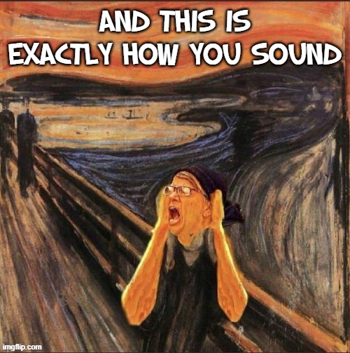 And this is exactly how you sound | made w/ Imgflip meme maker