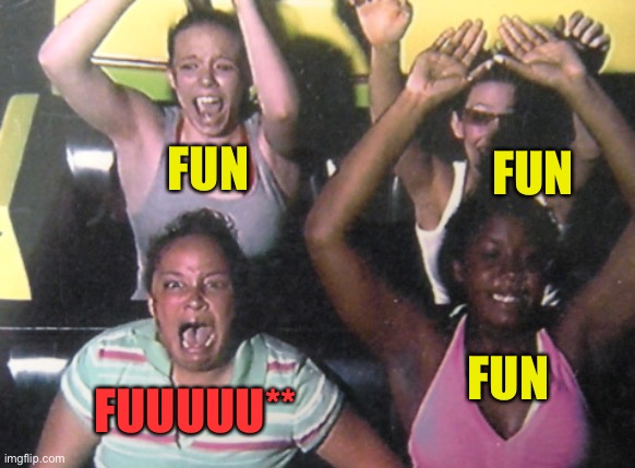 Fun | FUN FUN FUN FUUUUU** | image tagged in rollercoaster,scared,memes,funny | made w/ Imgflip meme maker