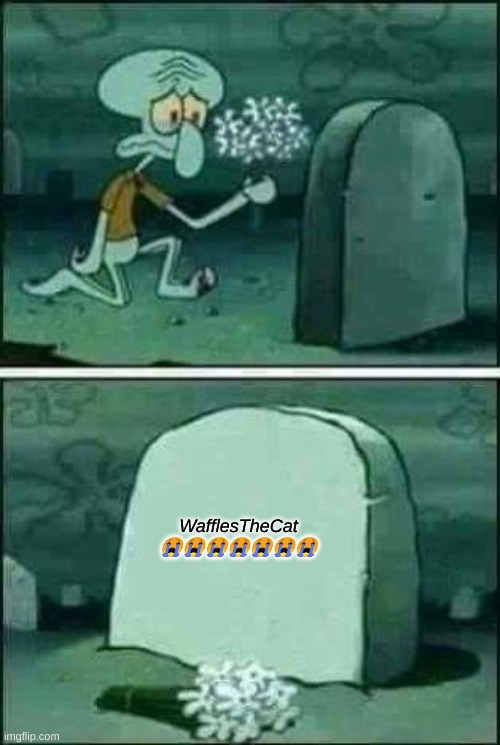grave spongebob | WafflesTheCat 😭😭😭😭😭😭😭 | image tagged in grave spongebob | made w/ Imgflip meme maker