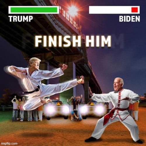 image tagged in finish him trump over biden | made w/ Imgflip meme maker