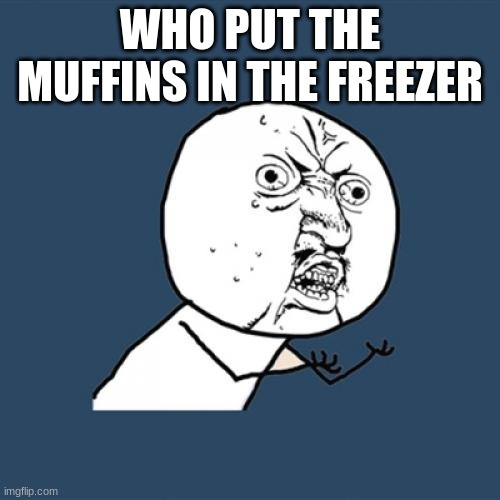Y U No | WHO PUT THE MUFFINS IN THE FREEZER | image tagged in memes,y u no | made w/ Imgflip meme maker