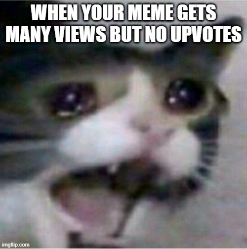Sometimes deep down this is how I feel | WHEN YOUR MEME GETS MANY VIEWS BUT NO UPVOTES | image tagged in crying cat,sad cat,cat meme,cats,disappointed | made w/ Imgflip meme maker