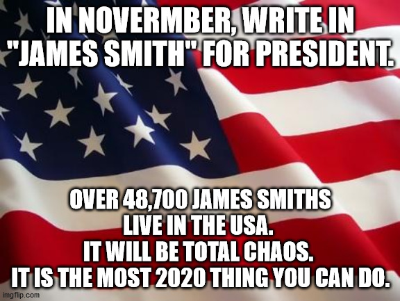 James Smith for President | IN NOVERMBER, WRITE IN "JAMES SMITH" FOR PRESIDENT. OVER 48,700 JAMES SMITHS LIVE IN THE USA. 
IT WILL BE TOTAL CHAOS. 
IT IS THE MOST 2020 THING YOU CAN DO. | image tagged in american flag,james smith,vote,chaos,2020 | made w/ Imgflip meme maker