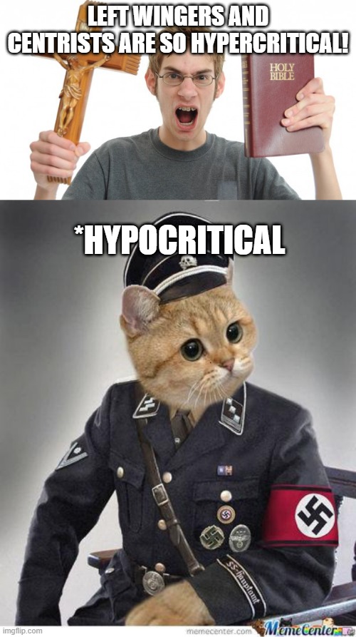 LEFT WINGERS AND CENTRISTS ARE SO HYPERCRITICAL! *HYPOCRITICAL | image tagged in nazi cat,angry conservative,grammar nazi cat,cats,memes,grammar | made w/ Imgflip meme maker
