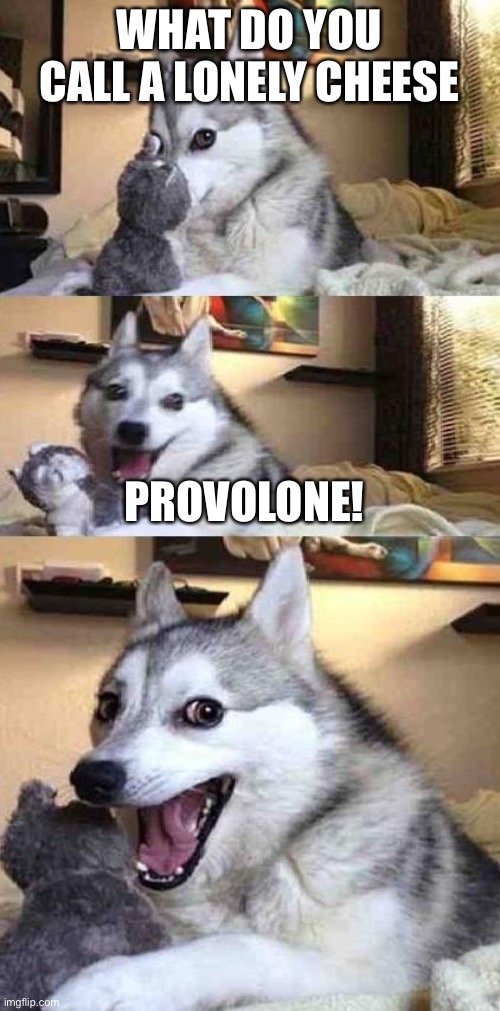 Dog Joke | WHAT DO YOU CALL A LONELY CHEESE; PROVOLONE! | image tagged in dog joke | made w/ Imgflip meme maker